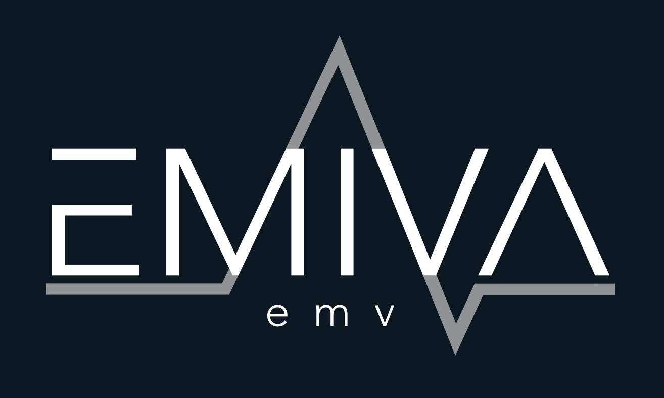 EMIVA-emv – gemeinsamer Markenauftritt der unabhängig tätigen Ingenieurbüros Michael Lehner und Vanessa Lehner.